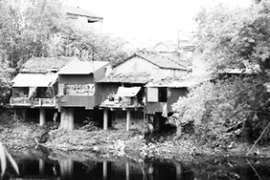 Năng lực yếu - vi phạm nhiều