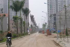 Doanh nghiệp nợ hàng trăm tỷ đồng tiền đất