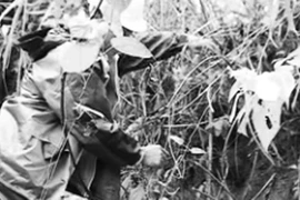 83 hộ dân thấp thỏm vì núi nứt