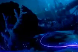 Khôi phục internet tuyến cáp quang biển quốc tế AAG