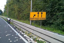 “Cơn mưa” tiền euro