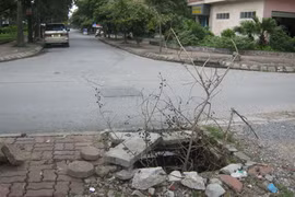 Nhếch nhác tái định cư