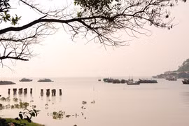 Quyết tâm mở đường