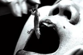 Thi nhau uống nước tiểu chữa bệnh ung thư