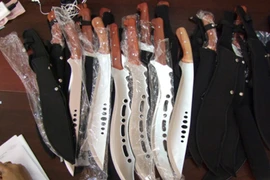 Bắt đối tượng vận chuyển 15 thanh đao kiếm