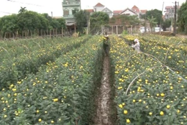 Nhân rộng mô hình giúp người lầm lỗi tái hòa nhập cộng đồng