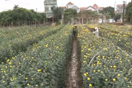 Nhân rộng mô hình giúp người lầm lỗi tái hòa nhập cộng đồng