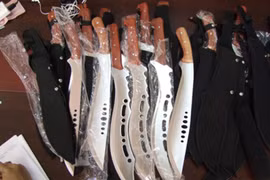 Bắt đối tượng vận chuyển 15 thanh đao kiếm