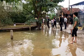 Tiếc thương nữ sinh gương mẫu bị lũ cuốn trôi trên đường đi học