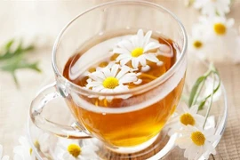 Trị bệnh thường gặp bằng các loại trà thông dụng