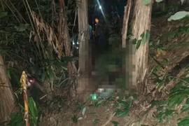 Bắn nhầm anh họ vì tưởng... thú rừng đang kiếm ăn 