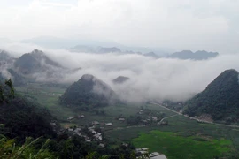 Kỳ hoa dị thảo ở "thung lũng mây"