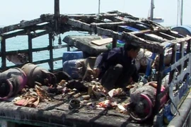 Hỗ trợ ngư dân bị Trung Quốc bắn cháy cabin tàu