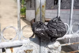 Dung túng cho hành vi phạm tội