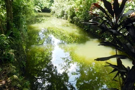 "Ao thu" của nhà văn Nguyễn Khuyến và câu chuyện cấp sổ đỏ cho di tích