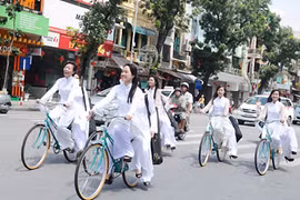 Cái giá của thông tin sai sự thật