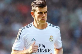 Chờ tân binh ra mắt