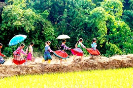 “Việt Nam - vẻ đẹp bất tận” 