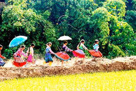 “Việt Nam - vẻ đẹp bất tận” 