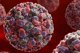 Nhật Bản: “Cúm dạ dày” bùng phát, 4 người tử vong 