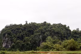 Bí mật “bùa sống” 