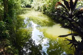 "Ao thu" của nhà văn Nguyễn Khuyến và câu chuyện cấp sổ đỏ cho di tích