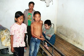 Mối nhân duyên của trái tim