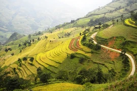 Hùng vĩ đường lên Xín Mần 