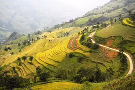 Hùng vĩ đường lên Xín Mần 