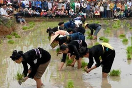 Lễ hội Lồng tồng trở thành di sản quốc gia