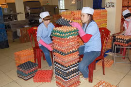 Hàng nội dư thừa, thực phẩm lậu vẫn tràn lan