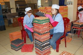 Hàng nội dư thừa, thực phẩm lậu vẫn tràn lan