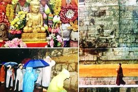 Trở về đất Phật