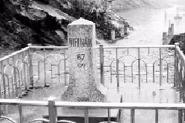 Lễ tri ân rừng xanh 