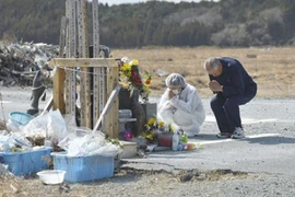 Đứng lên từ thảm họa