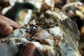 Khốc liệt cuộc săn tìm đá trắng, nuôi mộng đổi đời