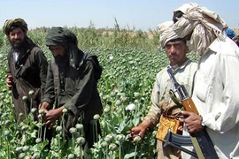 Mối lo từ hàng xóm