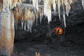 Kỳ bí động Cô Tiên