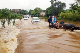 Biến đổi khí hậu đe dọa an ninh lương thực
