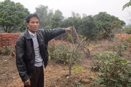 Quãng đời không đáng nhớ