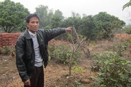 Quãng đời không đáng nhớ