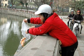 May thay, Tết ông Táo vẫn còn!