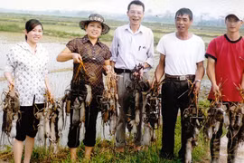 “Vua diệt chuột” 