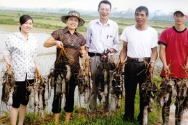 “Vua diệt chuột” 