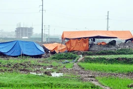 Vụ đào trộm mộ ở Hà Nam: Nhà đầu tư tưởng mộ hoang