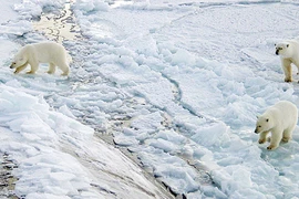 Mối đe dọa được báo trước