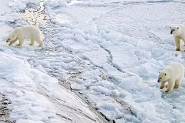 Mối đe dọa được báo trước