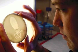 Nhìn rõ mọi vi khuẩn bằng mắt thường