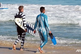 Đồ bơi chống cá mập