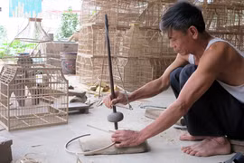 Nức tiếng lồng chim làng Vác